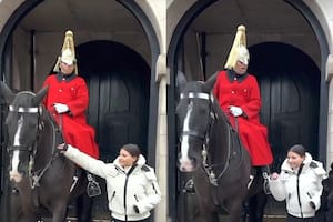 Se acercó a tocar la rienda de un caballo real y el guardia reaccionó eufórico
