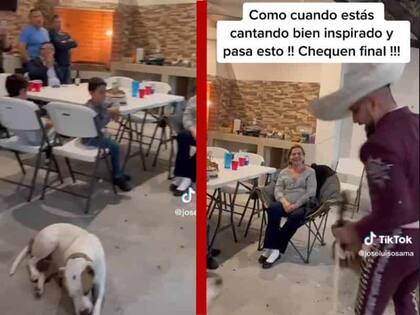 La reacción del hombre provocó las risas de los usuarios