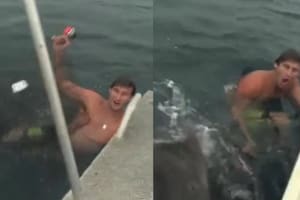 “Filmamos la muerte”: nadaba en el mar y quedó cara a cara con un tiburón