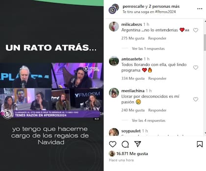 La reacción del público tras la campaña solidaria para ayudar a Rocío