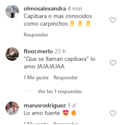 La reacción en redes sociales al avistamiento de Chayanne en Argentina