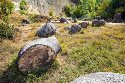 La reacción química entre los minerales que trae la lluvia y los sustratos que conforman las rocas produce el "crecimiento" de las Trovants