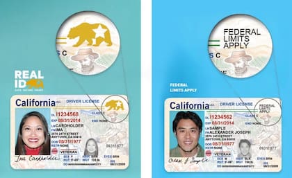La Real ID y la licencia estándar de California
