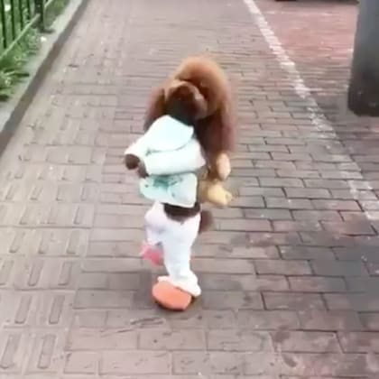 La realidad detrás de los videos de los perros que caminan en dos patas es más cruel de lo que parece