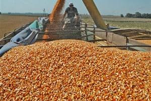 Baja de retenciones al campo: un gesto en la senda correcta