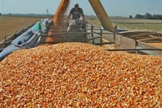 Baja de retenciones al campo: un gesto en la senda correcta