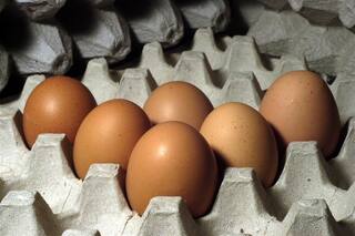 La avicultura necesita ser escuchada