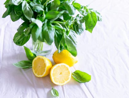 La receta para preparar esta bebida es muy sencilla (Foto de carácter ilustrativo: PEXELS)