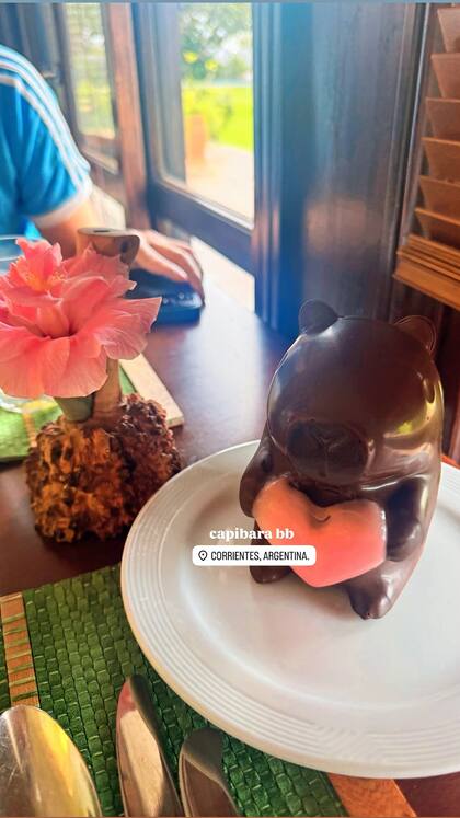 La recibida que les dio el hotel de Corrientes con un "capibara bb"