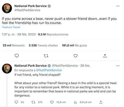 La recomendación del National Park Service ante los avistamientos de osos