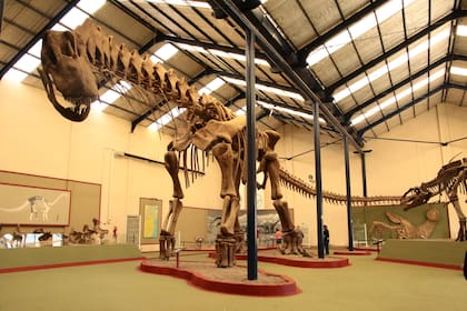 La reconstrucción del Argentinosaurus, de 30 metros de largo, uno de los animales más grandes del mundo, en Plaza Huincul