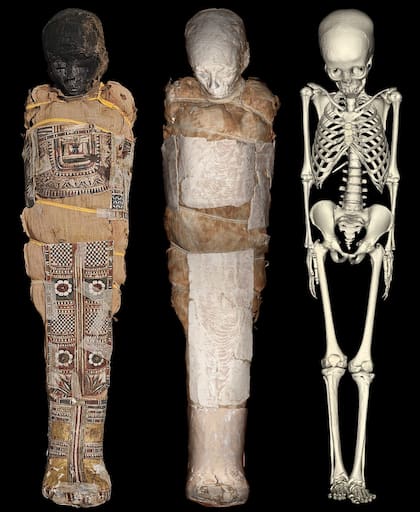 La reconstrucción realizada a partir de los estudios recientes