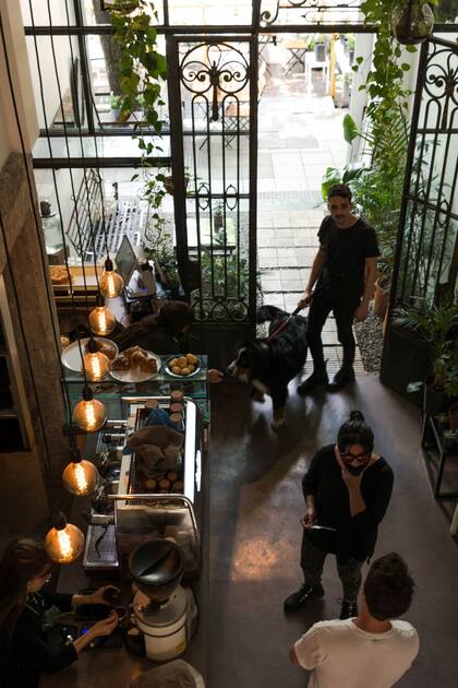 la reconversión de las panaderías
Fauna