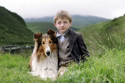 La recordada perra Lassie