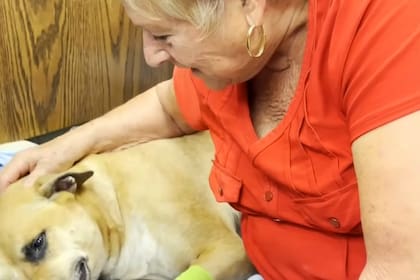 La recuperación podría demorar hasta tres semanas si no surgen complicaciones