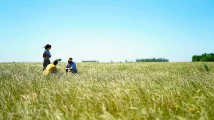 La Red de Técnicos de Ovis21 & Ruuts realizando trabajo de campo