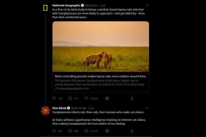 La reflexión de Elon Musk sobre la toxoplasmosis y los avances en inteligencia artificial