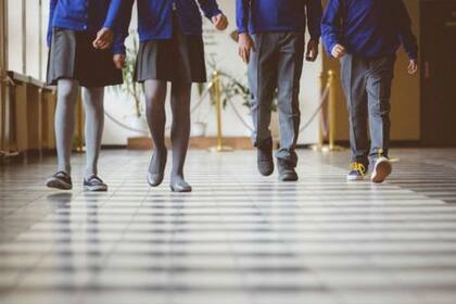 La reforma extendió un año el tiempo regular de estudios