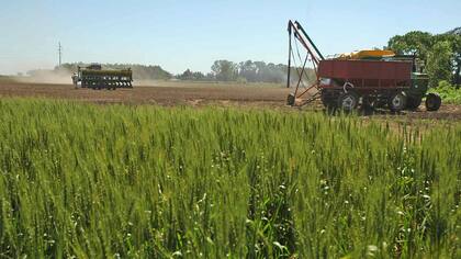 La reforma introduce cambios importantes para el agro