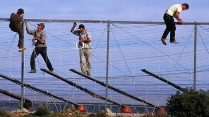 La reforma mejora las condiciones de los temporeros
