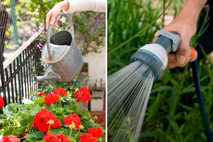 La regadera se usa en lugares reducidos o en macetas. Puede ser con flor: el chorro caerá en forma de lluvia; o sin flor: el chorro será directo y más fuerte. La pistola de riego es un artefacto eficaz y hace que la tarea de regar se transforme en una diversión.