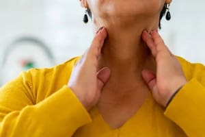 La regeneración de órganos y sistemas es un santo grial científico que se basa en las células madre