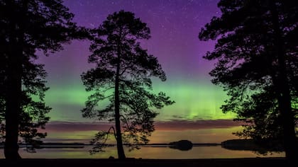 La región de Laponia y Alaska son dos de los mejores lugares para observar el fenómeno