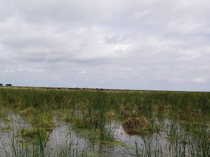 La región es muy sensible a inundaciones y sequías