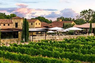 La ruta de Texas con más de 100 bodegas de vino e ideal para visitar