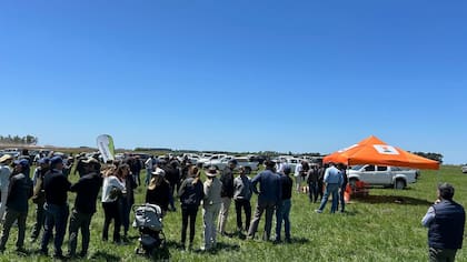 La Regional 25 de Mayo organizó en el establecimiento Cruz de Guerra, de la familia Garciarena, en este partido bonaerense, un encuentro con más de 200 productores para compartir la innovación y los ensayos que están realizando en el campo
