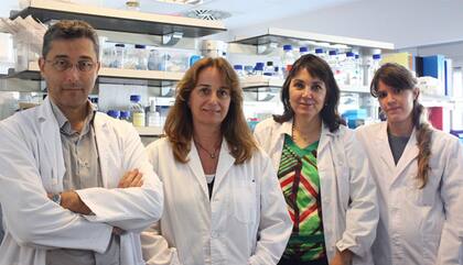 La regulación del gen Klotho en el cerebro mediante terapia génica protege de los déficits de aprendizaje y memoria asociados al envejecimiento en ratones (Foto: Gentileza Vall d'Hebron Instituto de Investigación (VHIR) )