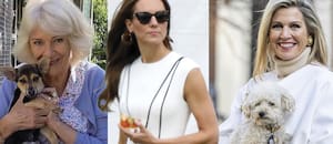 Camilla, Kate, Máxima… Te presentamos a los perros de las reinas, las princesas y otros de la realeza