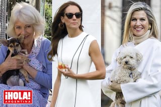 Camilla, Kate, Máxima… Te presentamos a los perros de las reinas, las princesas y otros miembros de la realeza
