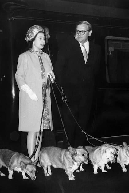 La reina Isabel II con sus corgis, en octubre de 1969