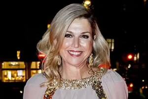 La reina Máxima deslumbró con un vestido de gala durante un evento en Ámsterdam (Foto: Instagram @jantaminiau)