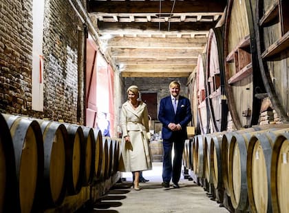 La reina se lució con un elegante conjunto de chaqueta y falda con un collar de perlas como joya principal (Foto: Instagram @koninklijkhuis)