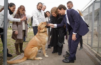 La reina Sofía visitando la asociación 'Abrazo Animal' en 2023