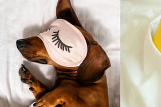 Dormir con tu perro o gato tiene implicaciones en la salud, según un veterinario