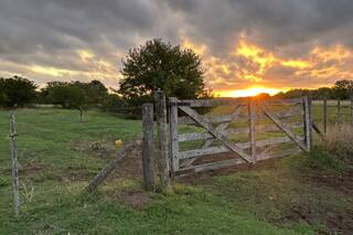¿Estamos ante una oportunidad de valorización de los campos agrícolas en la Argentina?