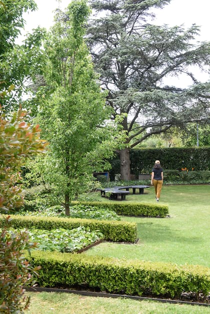 La renovación de un jardín en una esquina emblemática del barrio Los Troncos, en Mar del Plata, con una composición de líneas de buxus que interrumpen la gran curva del cantero que contiene Pyrus y hiedras como tapizantes.
Paisajismo: Gabriela Moro