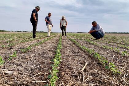La rentabilidad empeorará entre 11% y 12% en zona núcleo