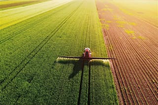 ¿Qué nos dicen los análisis de suelos?