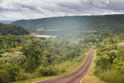 La Reserva de Biósfera Yabotí es una de las 15 reservas de este tipo en Argentina.