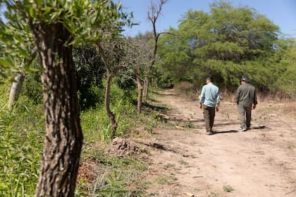 La reserva de Mario Paz, en los alrededores de Santiago capital