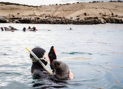 La reserva de Punta Loma está sobre el Golfo Nuevo, a 20 kilómetros de Puerto Madryn.