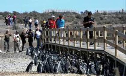 La reserva de Punta Tombo recibe cada año miles de turistas durante el verano.