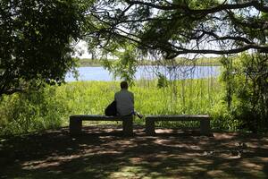 La Reserva ecológica Costanera Sur, reservorio de plantas nativas, donde abundan las mariposas y las aves