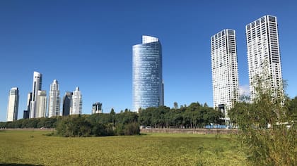 La Reserva Ecológica Costanera Sur tiene una diversidad ornitológica similar a áreas protegidas diez veces más grandes de la región.