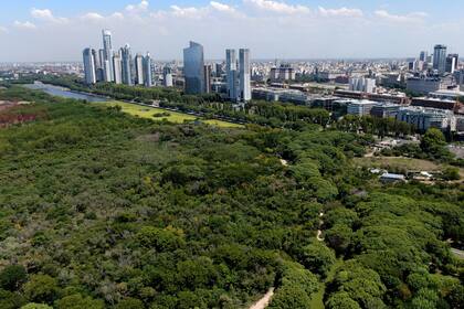 La Reserva ecológica de Costanera sur en la ciudad de Buenos Aires tiene 250 especies de aves, 9 de anfibios, 23 de reptiles, 10 de mamíferos, 50 de mariposas y las variedades de plantas incluyen 245 especies de 55 familias.