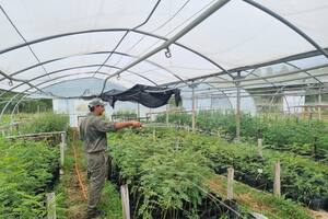 Llega Ruta Verde, la ambiciosa iniciativa de la Red Solidaria para mejorar el ambiente